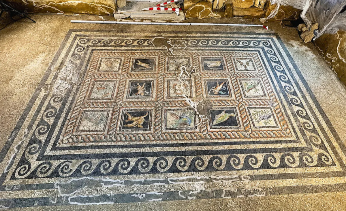 A floor that names a cat and a dog