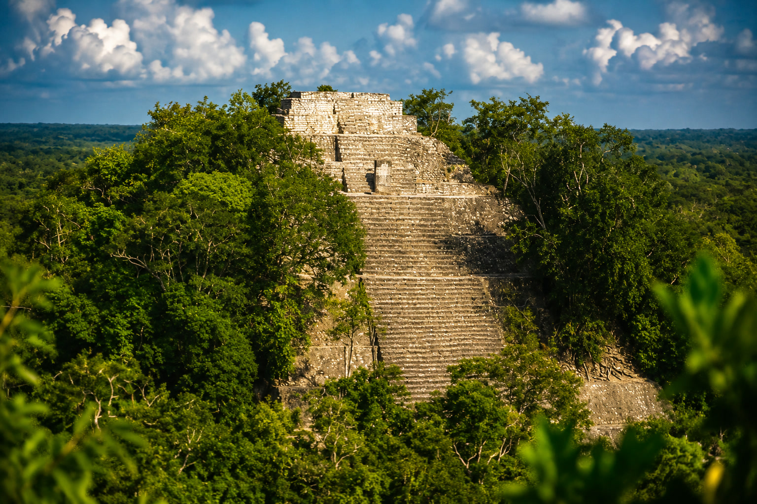 A Maya city nobody had looted