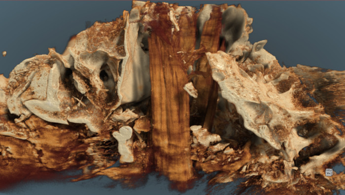 A wild bull's skull set on a post